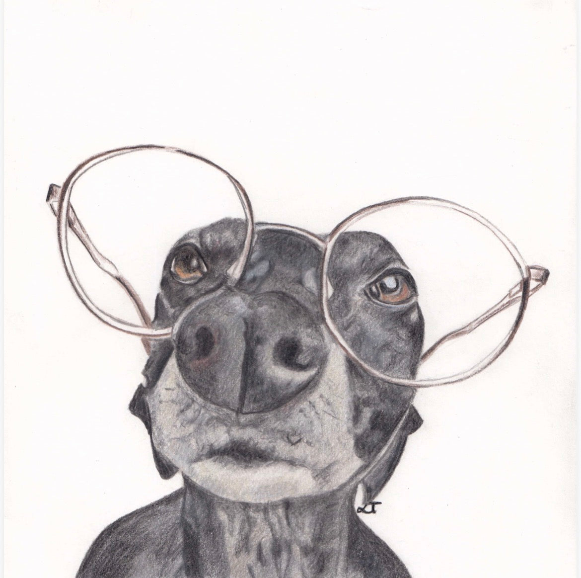 Bespoke Portraits