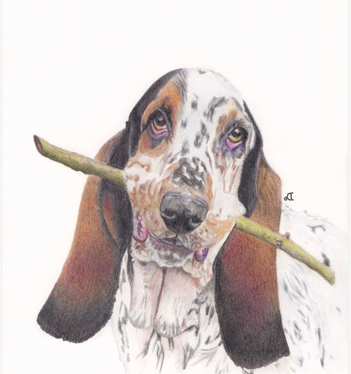 Bespoke Portraits