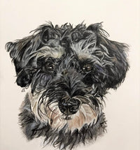 Alfie Mulhall