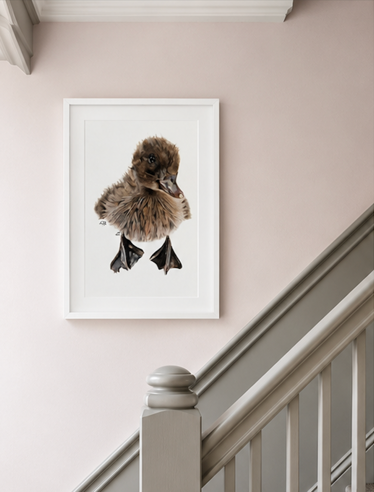 Curious Duckling Fine Art Print – A4