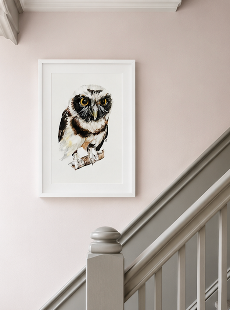 Little Owl Fine Art Print – A4