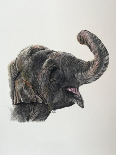 Playful Elephant Fine Art Print – A4